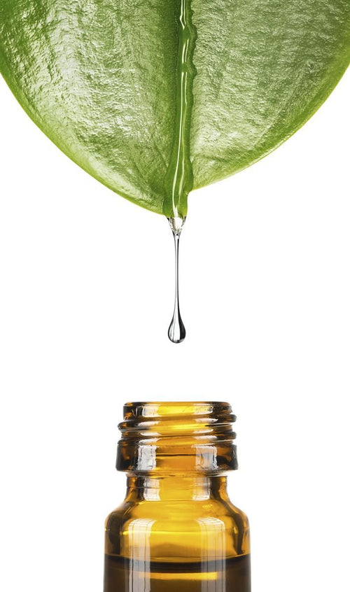 Tea Tree Oil